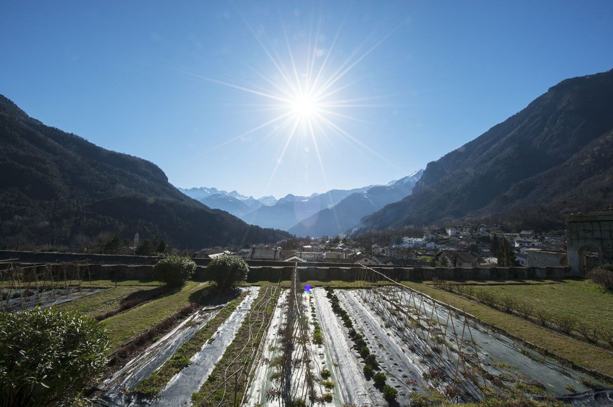 chiavenna Palazzo vertemate franchi