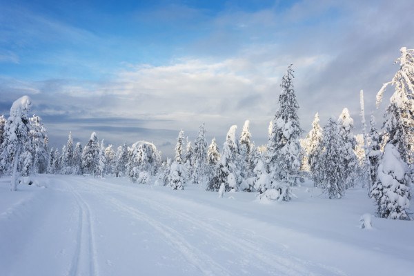 Salla Finland - Snow, Nature and Nowhereness