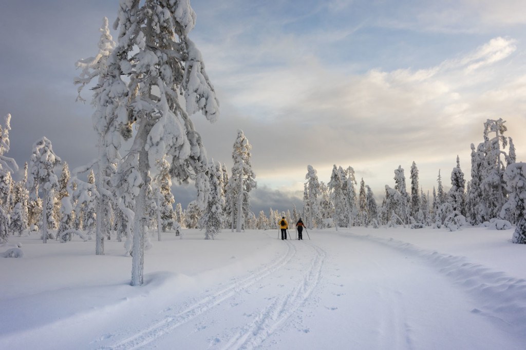 Salla Finland - Snow, Nature and Nowhereness