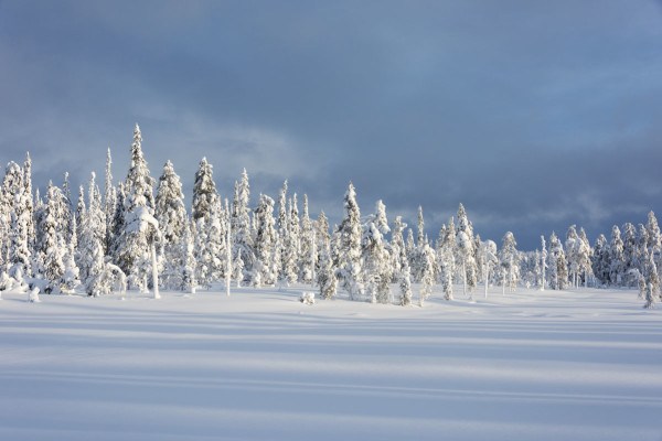 Salla Finland - Snow, Nature and Nowhereness