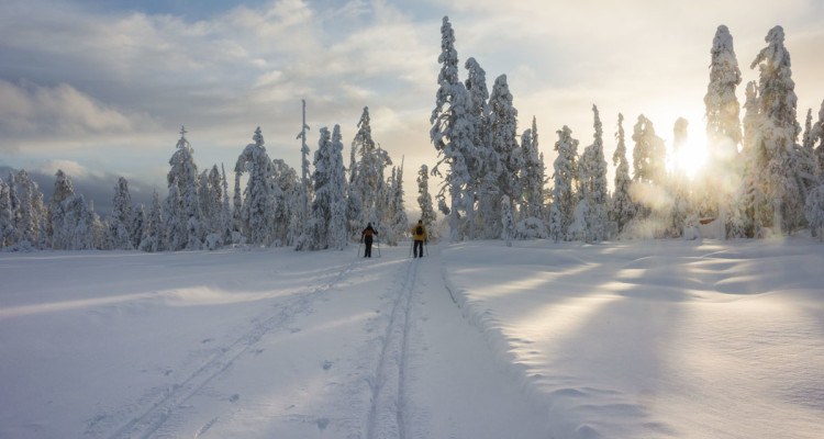 Salla Finland - Snow, Nature and Nowhereness