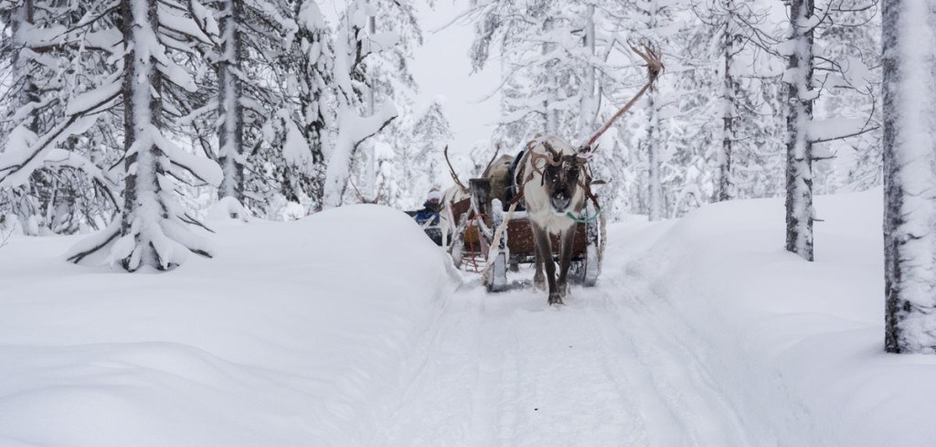 Salla Finland - Snow, Nature and Nowhereness