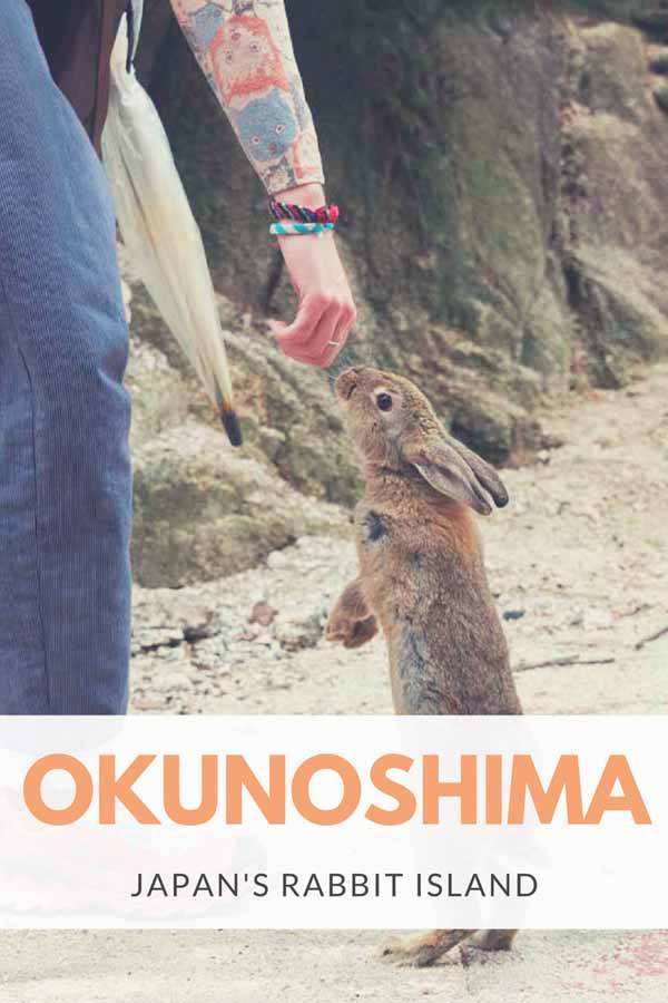 Okunoshima, Japan's Rabbit Island - The Crowded Planet